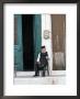 Old Man In Traditional Costume, Crete, Greece by Michael Short Limited Edition Pricing Art Print