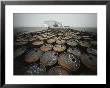 Tens Of Thousands Of Discarded Metal Drums Litter The Coast by Lowell Georgia Limited Edition Pricing Art Print