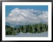 Scenic Landscape Near Cedar City by James P. Blair Limited Edition Pricing Art Print