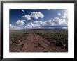 A Dirt Road Leads To The Horizon by George Grall Limited Edition Pricing Art Print