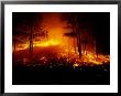 Flames From A Forest Fire Light Up The Night by Raymond Gehman Limited Edition Print