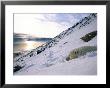 A Polar Bear Dozes On The Side Of A Snowy Hill by Paul Nicklen Limited Edition Print