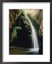 Stone Creek Waterfall, Grand Canyon, Arizona by David Edwards Limited Edition Pricing Art Print