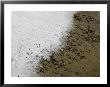 Thin Layer Of Snow Covering Pebbles And Sand On A Beach by Todd Gipstein Limited Edition Print