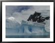 Icebergs Carved By The Icy Waters Of Gerlache Strait by Ralph Lee Hopkins Limited Edition Print