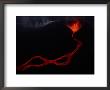 Lava Stream by Chris Johns Limited Edition Print