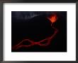 Lava Stream by Chris Johns Limited Edition Pricing Art Print