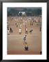 Sunday Cricket, New Delhi, India by David Lomax Limited Edition Pricing Art Print