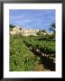 Vines In Vineyard, Village Of Bonnieux, The Luberon, Vaucluse, Provence, France by David Hughes Limited Edition Print
