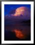 A Twilight View Of The Oregon Coast by Paul Nicklen Limited Edition Print