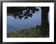 Tree-Framed View Shows How The Blue Ridge Mountains Got Their Name by Stephen St. John Limited Edition Pricing Art Print