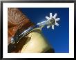 A Close-Up Of A Shiny Silver Spur On The Back Of A Cowboy Boot by Todd Gipstein Limited Edition Print