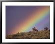 Cowboy And Rainbow, Ponderosa Ranch, Seneca, Oregon, Usa by Darrell Gulin Limited Edition Print