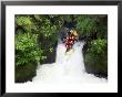 Raft In Tutea's Falls, Okere River, New Zealand by David Wall Limited Edition Print