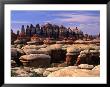 Chesler Park Trail In Needles Region, Canyonlands National Park, Usa by Carol Polich Limited Edition Print