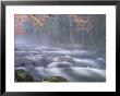 Big Moose River Rapids In Fall, Adirondacks, New York, Usa by Nancy Rotenberg Limited Edition Print