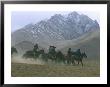 Semi-Nomadic Tajiks Of The Pamir Mountains Herding Sheep With Horses, Near Kashgar, Kashgar, China by Keren Su Limited Edition Pricing Art Print