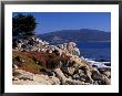 17-Mile Drive, Pescadero Point, Carmel, California, Usa by Nik Wheeler Limited Edition Print