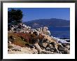 17-Mile Drive, Pescadero Point, Carmel, California, Usa by Nik Wheeler Limited Edition Print