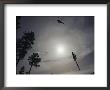 A Helicopter Lifts Cut Timber From The Forest; Helicopter Logging Is Said To Be Easier On Forest by Joel Sartore Limited Edition Print