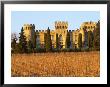 Vineyard With Syrah Vines And Chateau Des Fines Roches, Chateauneuf-Du-Pape, Vaucluse by Per Karlsson Limited Edition Print