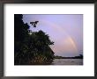 Rainbow Over Amazon Rain Forest by Steve Winter Limited Edition Pricing Art Print