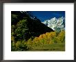 Autumn View Of Aspen Trees Against A Backdrop Of Snow-Covered Mountains by Paul Chesley Limited Edition Print