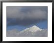 Mt. Humphreys Covered In Snow, Flagstaff, Arizona by John Burcham Limited Edition Pricing Art Print