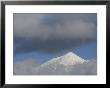 Mt. Humphreys Covered In Snow, Flagstaff, Arizona by John Burcham Limited Edition Pricing Art Print