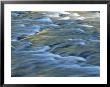 Swiftly Rushing Water In A Stream by Tom Murphy Limited Edition Pricing Art Print