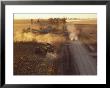 Elevated View At Twilight Of A Corn Harvest by Ira Block Limited Edition Print
