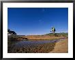 Dog With Cyclist Riding Along Water In Slick Rock, Arizona by David Edwards Limited Edition Print