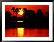 Tropical Sunset In North Central Botswana by Charles Sleicher Limited Edition Print