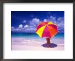 Female Holding A Colorful Beach Umbrella On Harbour Island, Bahamas by Greg Johnston Limited Edition Print