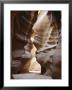 Slot Canyon In Red Sandstone, Antelope Canyon, Near Page, Arizona, Usa by Tony Waltham Limited Edition Print