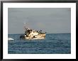 Us Coast Guard, Key West, Florida, Usa by R H Productions Limited Edition Print