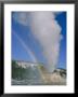 A Rainbow Forms During An Eruption Of Castle Geyser by Norbert Rosing Limited Edition Print