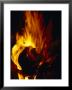 Red, Orange And Yellow Flickering Flames From A Desert Campfire, Australia by Jason Edwards Limited Edition Print