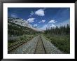Train Tracks Winding Their Way Through The Canadian Rockies by Todd Gipstein Limited Edition Print