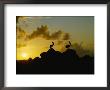 Two Pelicans Perched On Rocks Are Silhouetted Against A Sunset Sky by Todd Gipstein Limited Edition Print