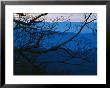 Sunset Over Mountains At Big Meadows by Raymond Gehman Limited Edition Print