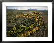 Cottonwood Trees Line The Winding San Pedro River by Annie Griffiths Belt Limited Edition Print