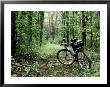A Bike Rests On A Woodland Trail by Al Petteway Limited Edition Pricing Art Print