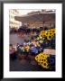 Flowers At Piazza De Spangna, Rome, Italy by Connie Ricca Limited Edition Print