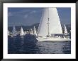 Yacht Race by Kadir Kir Limited Edition Pricing Art Print