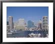 Bay And Skyline Of Baltimore, Md by Vic Bider Limited Edition Print