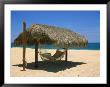 Cabo St. Lucas, Beach Palapa And Hammock by Jennifer Broadus Limited Edition Pricing Art Print