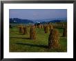 Bales Of Hay In Pieniny Mountains Region, Malopolskie, Poland by Krzysztof Dydynski Limited Edition Print