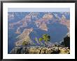 The South Rim Of The Grand Canyon, Arizona, Usa by Fraser Hall Limited Edition Print