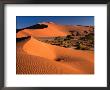 Namib Sand Dunes, Nambia Desert Park, Namib Desert Park, Erongo, Namibia by Carol Polich Limited Edition Print